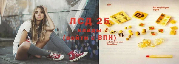 гашик Зерноград