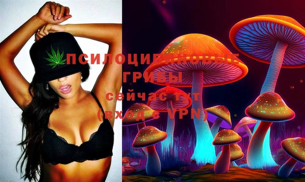 шишки Зеленокумск