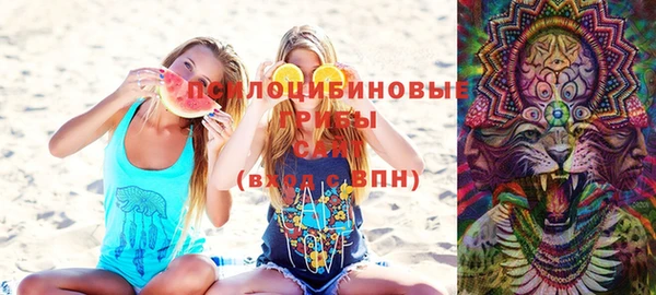 шишки Зеленокумск