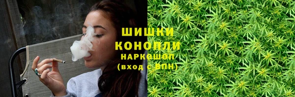 гашик Зерноград