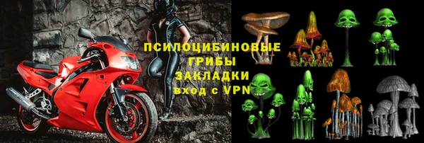 шишки Зеленокумск