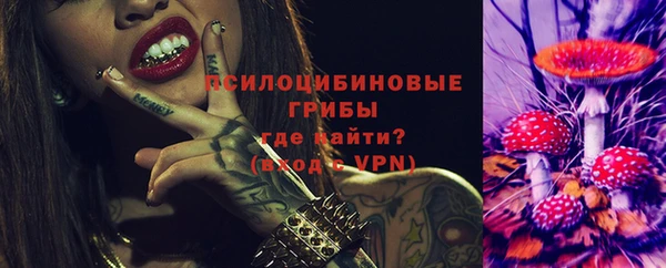 гашик Зерноград