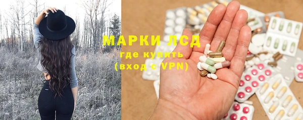 гашик Зерноград