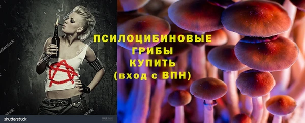гашик Зерноград